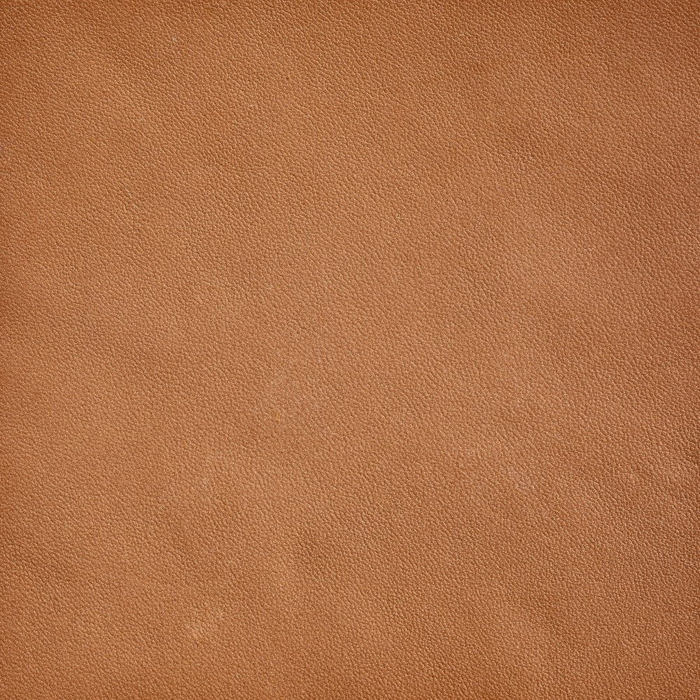 Leather Material Swatch